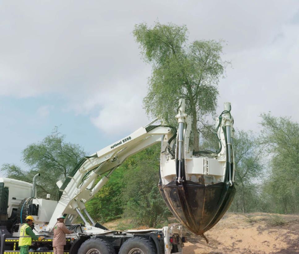 Specialist equipment relocating a mature tree