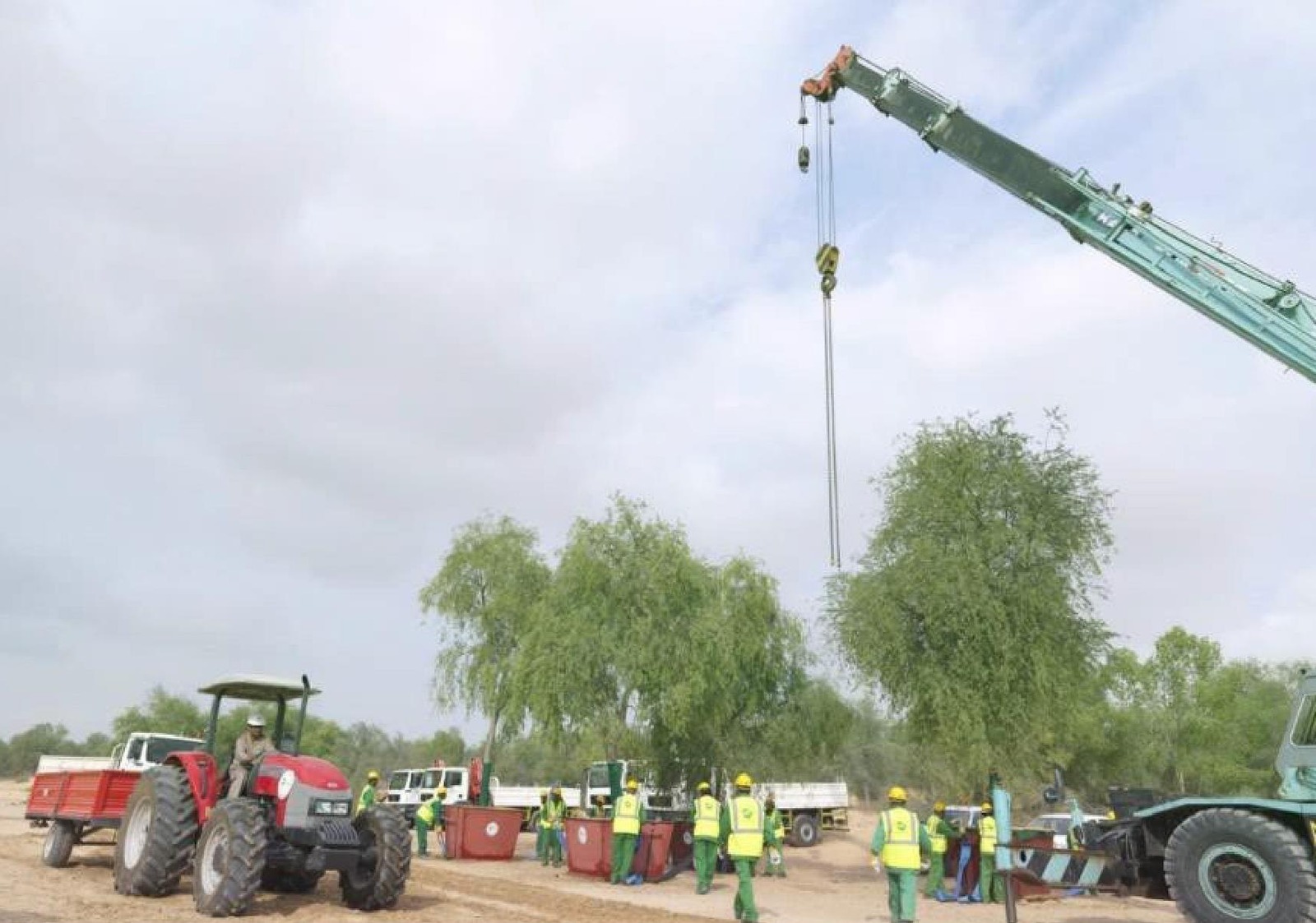 Barari field team and specialist equipment supporting mature tree relocation