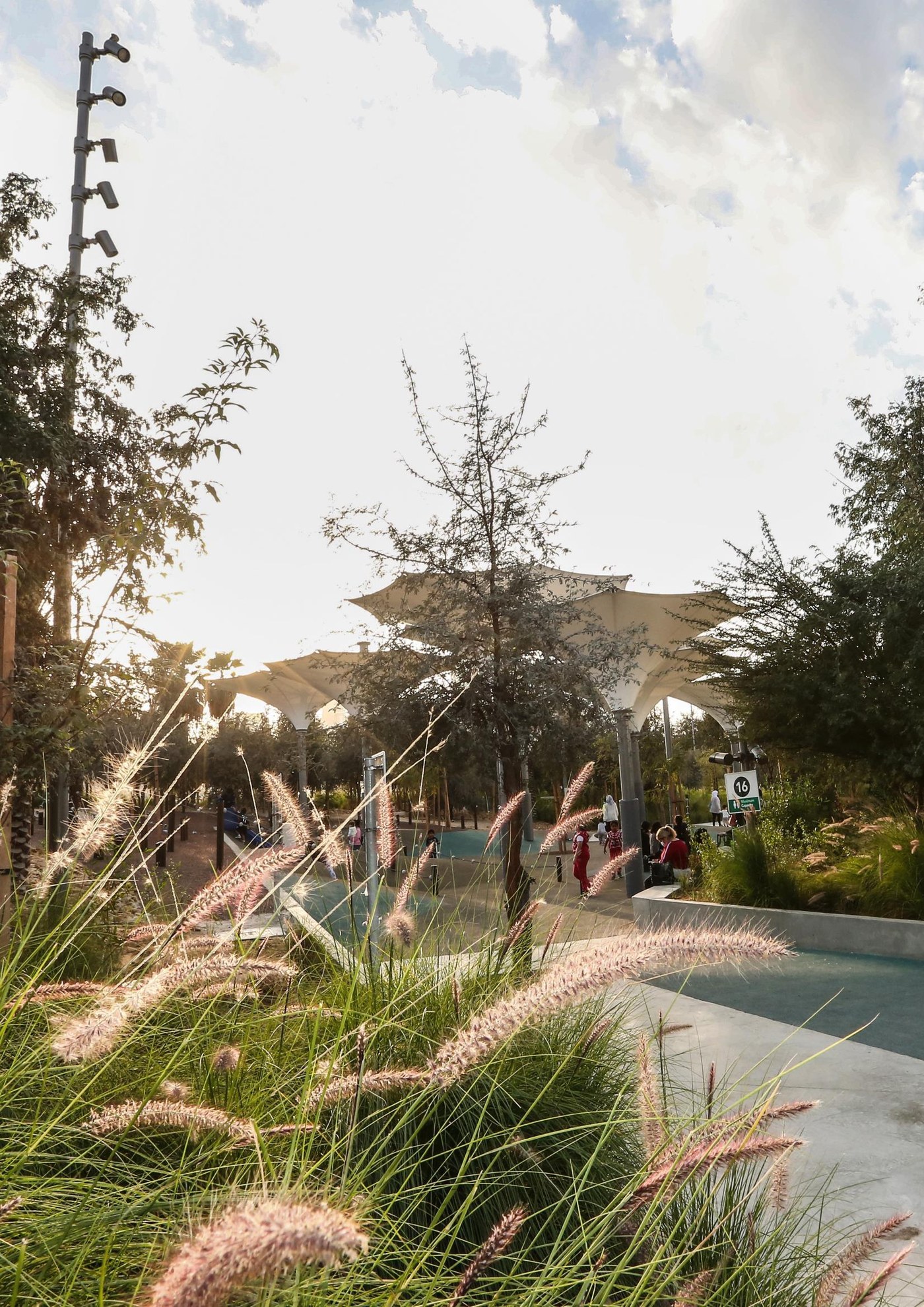 Native planting and public realm at Al Fay Park in Abu Dhabi